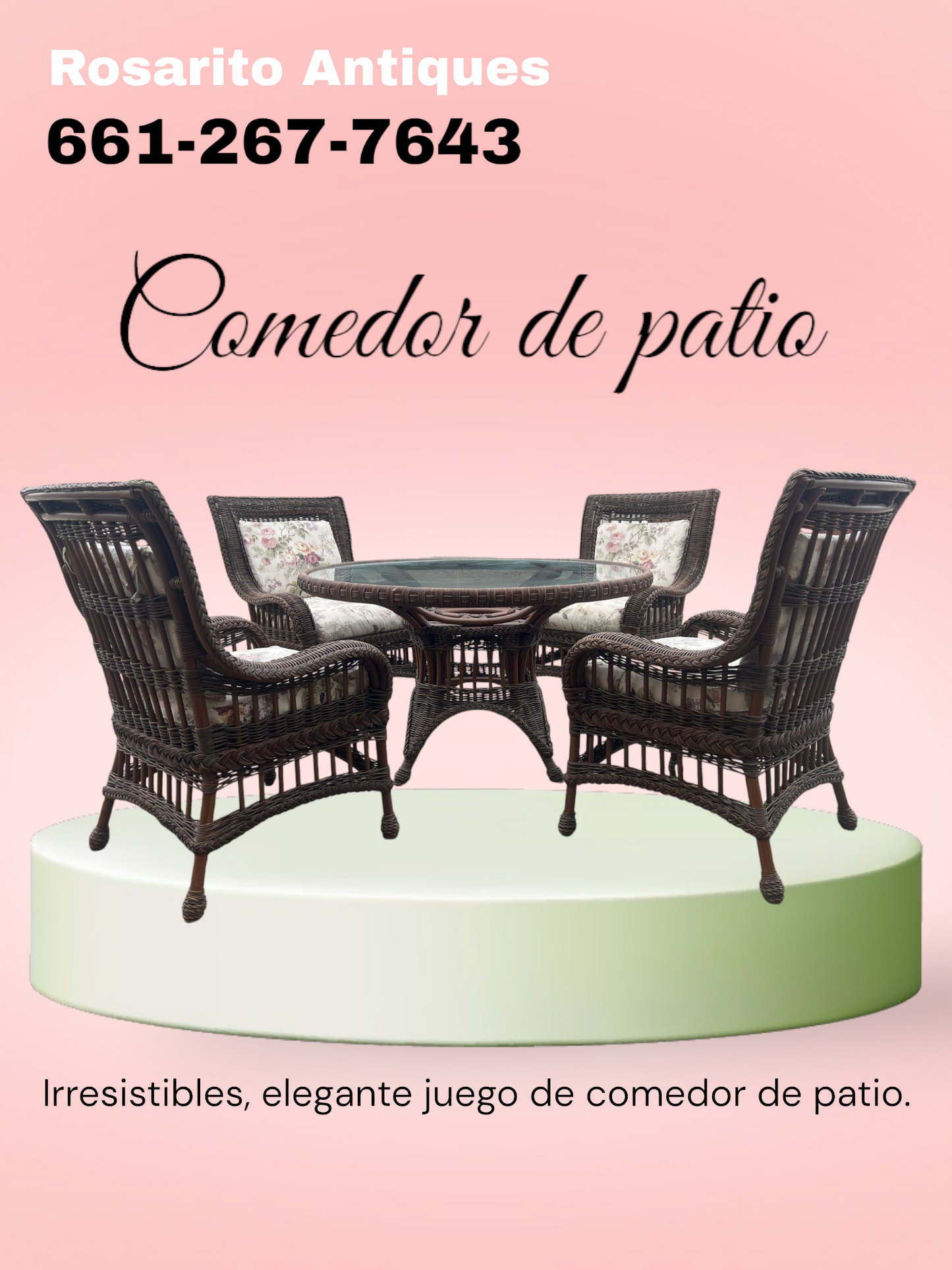 🌞 ¡Comedor de Patio! 🌞
