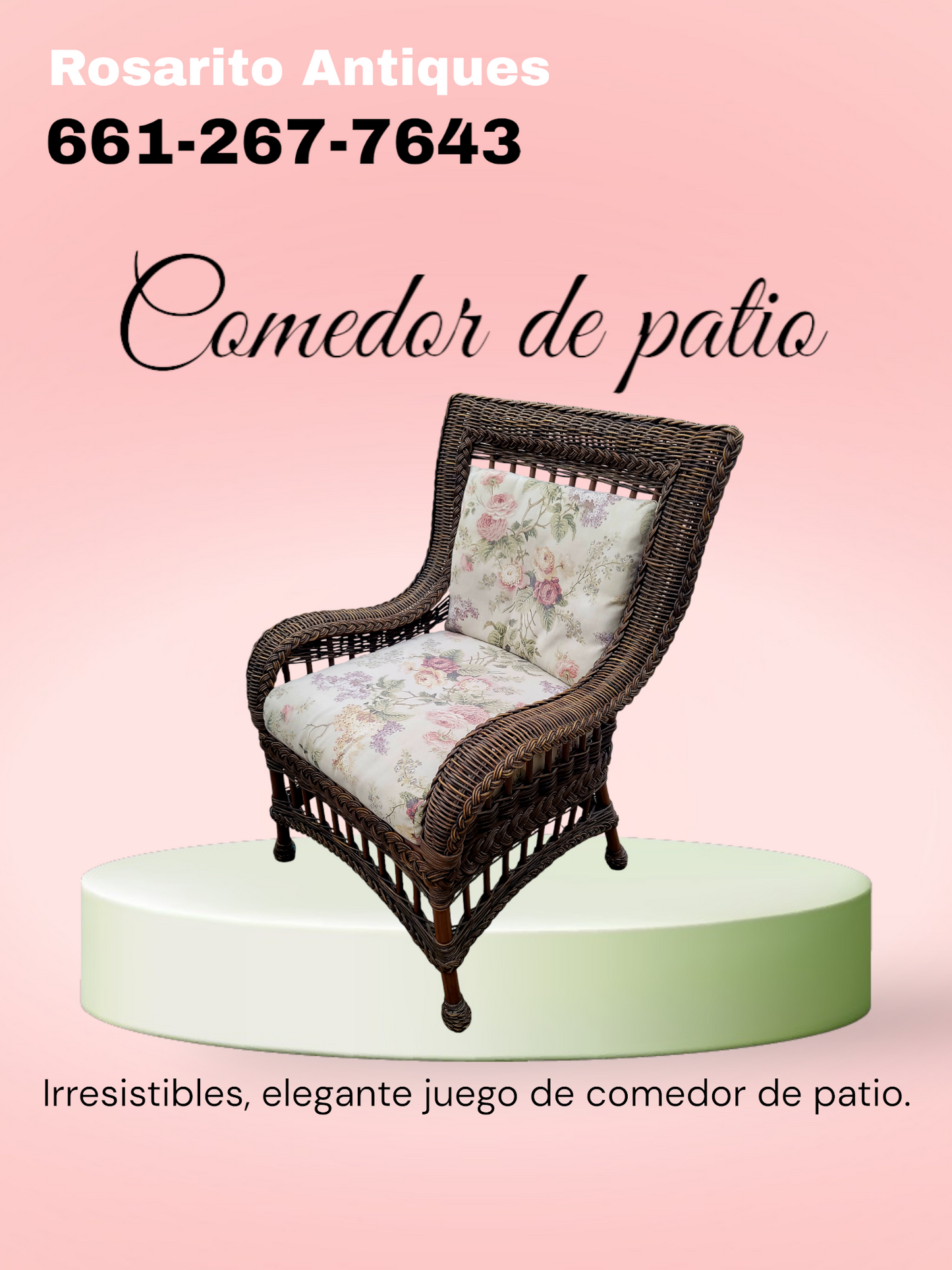 🌞 ¡Comedor de Patio! 🌞