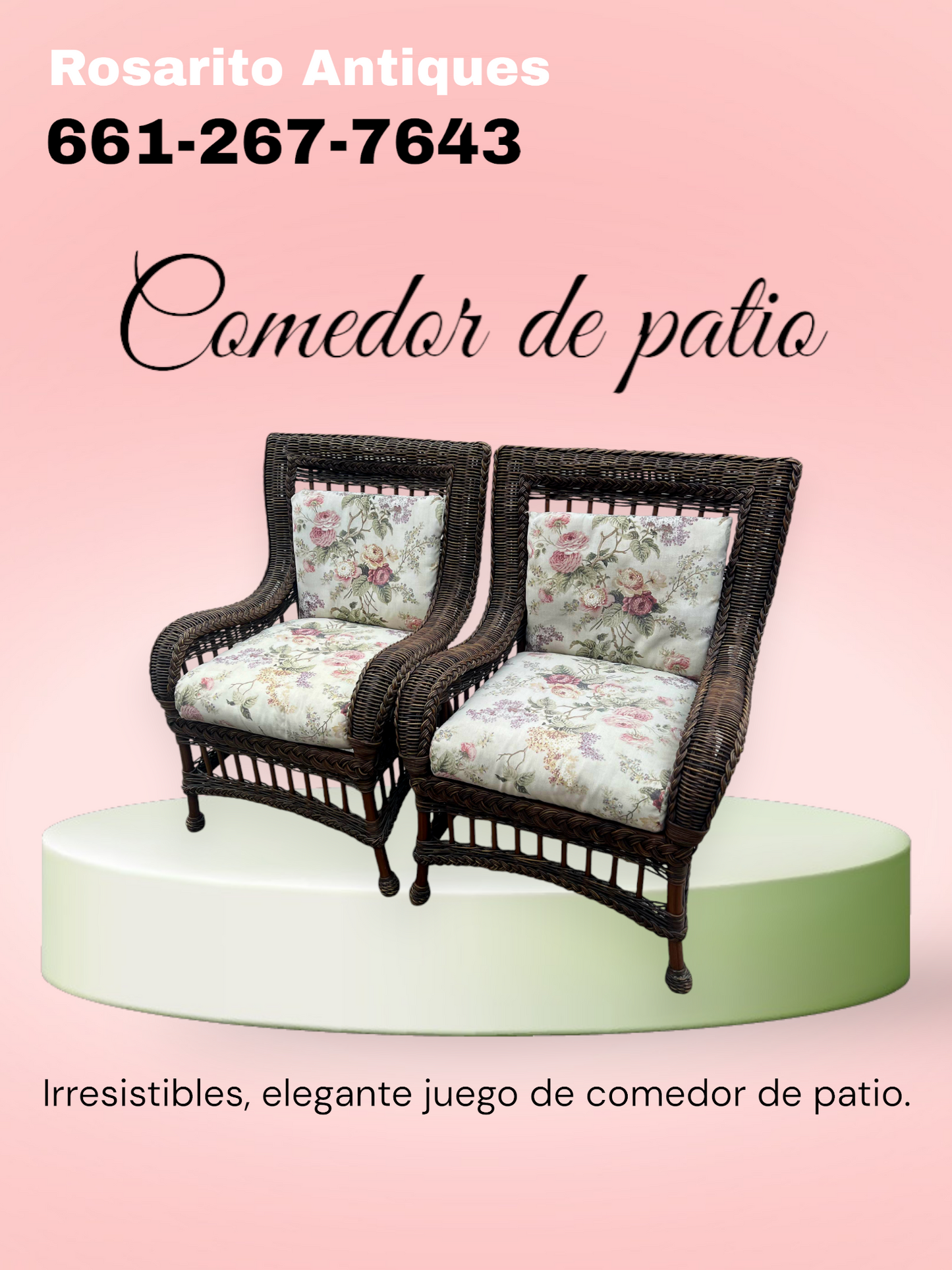 🌞 ¡Comedor de Patio! 🌞