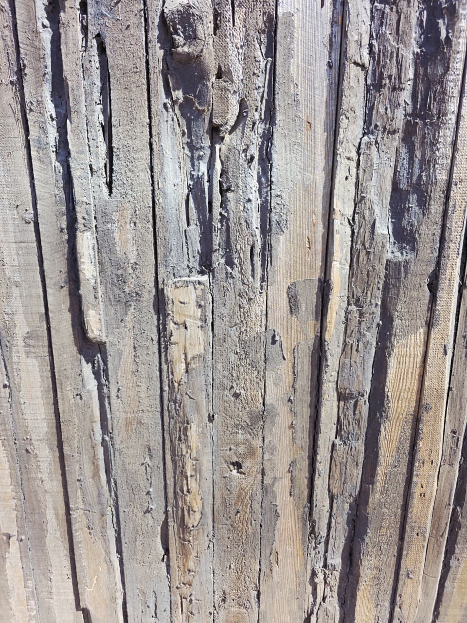 Puerta Rustica de Cedro Envejecido – Umbral de Historia y Permanencia