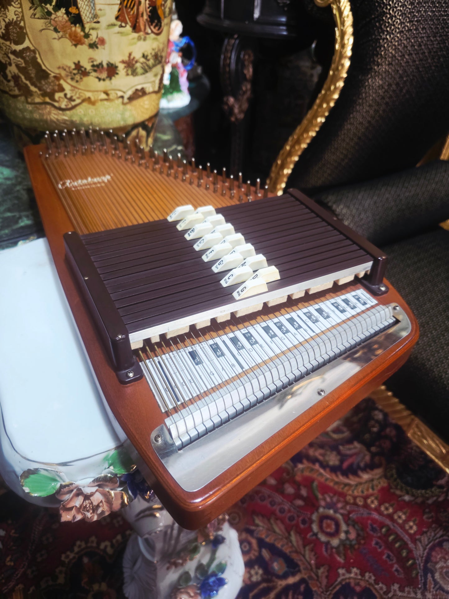 🎶 Oscar Schmidt OS15B Autoharp – American Folk with Soul and Precision 🎼
