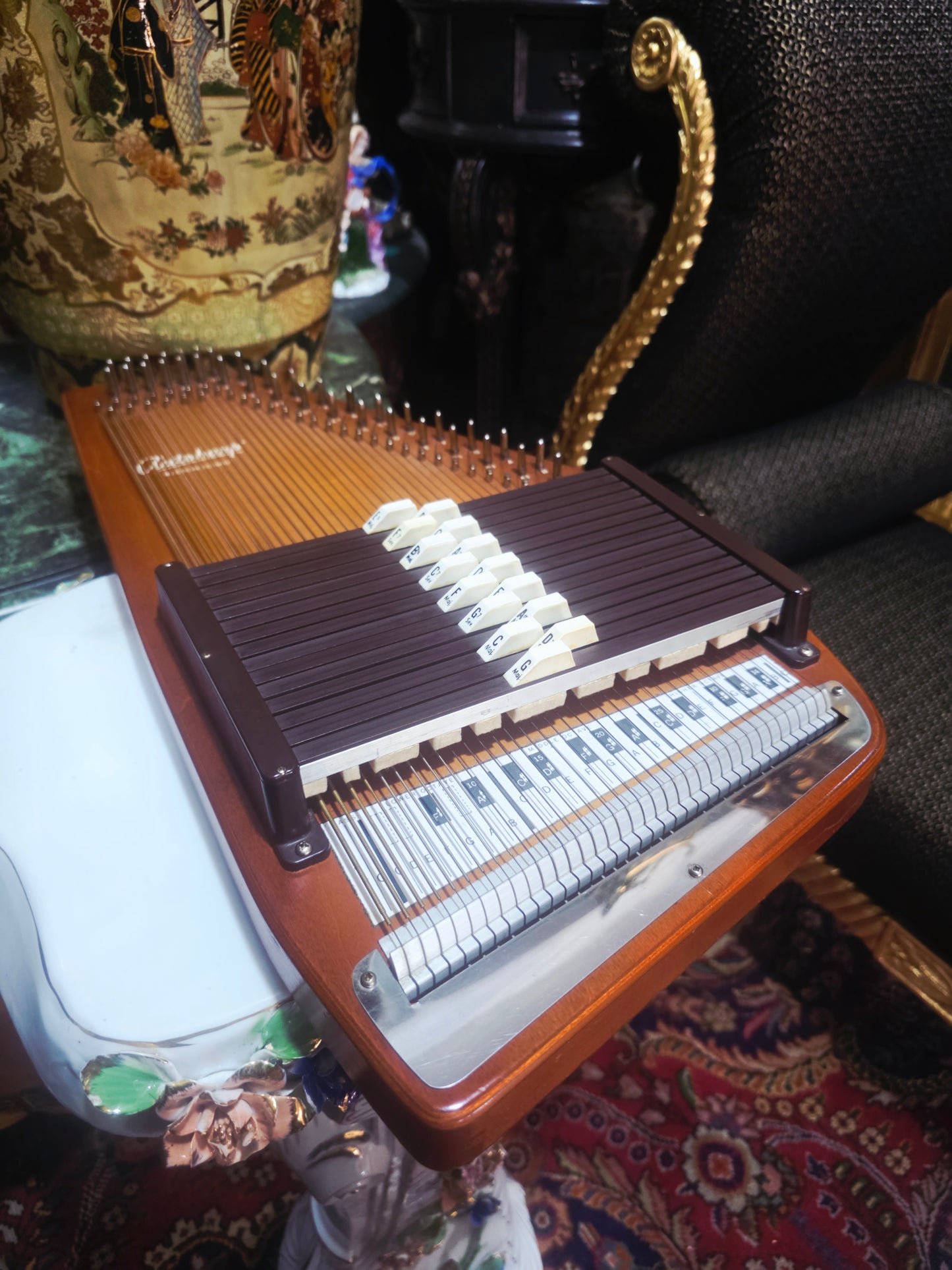 🎶 Oscar Schmidt OS15B Autoharp – American Folk with Soul and Precision 🎼