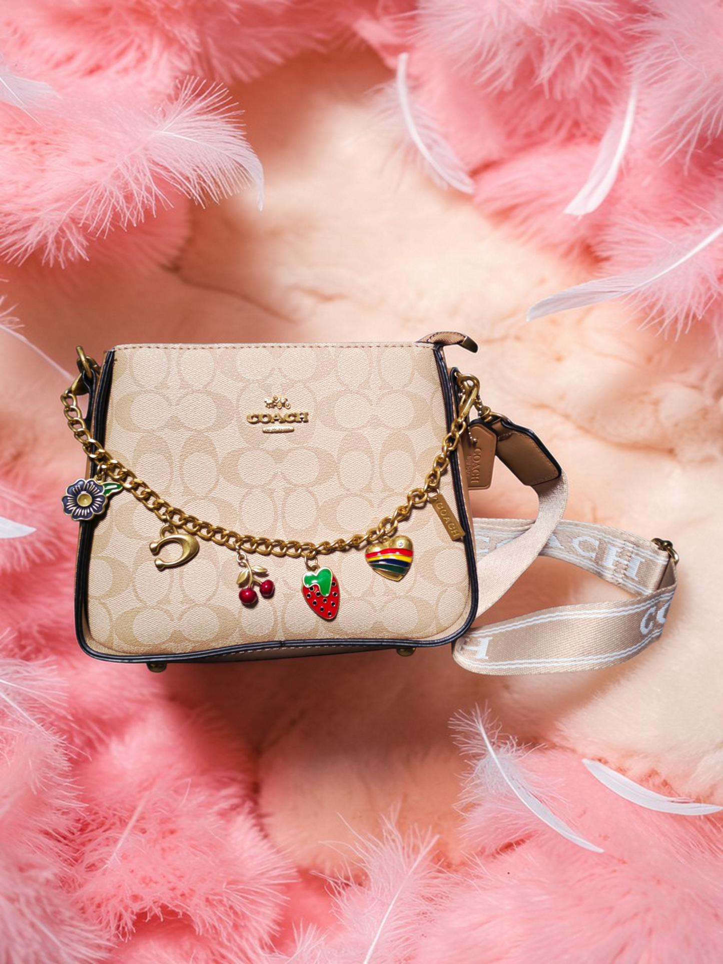 🍓👜 Coach New York Women's Bag – Timeless Charm and Feminine Distinction ✨🌸