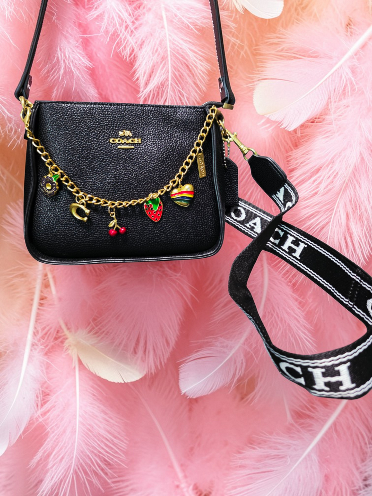 🕊️👜 Coach New York Black Handbag for Women – Timeless Sophistication and Distinguished Character ✨🌸