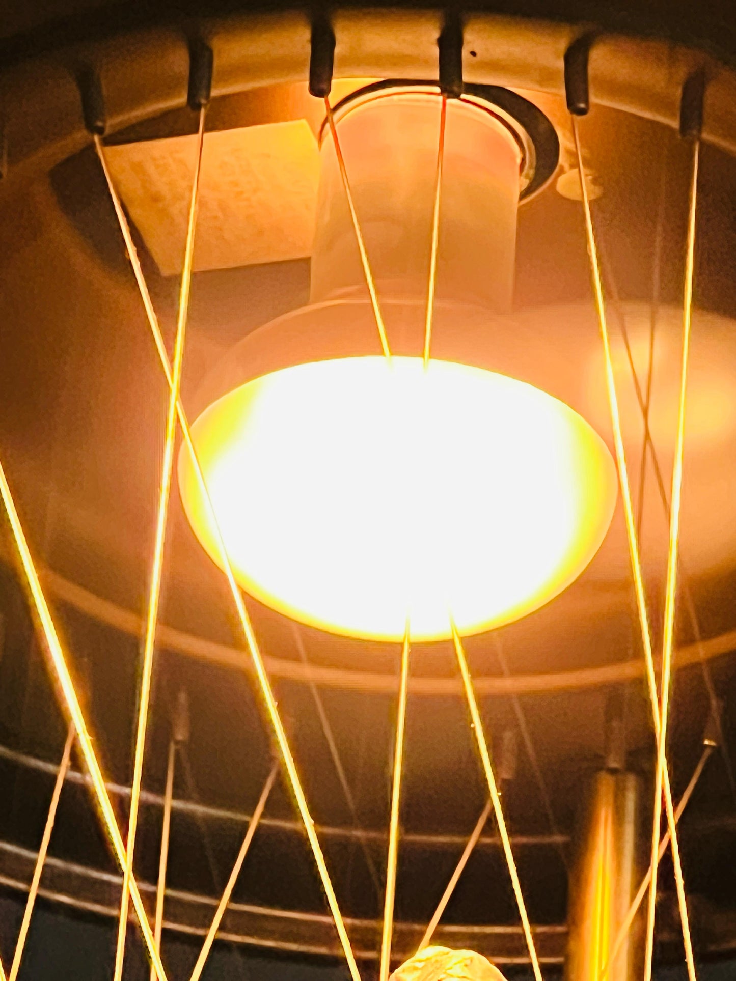 ✨ Stunning Tall Chandelier with 9 Lights ✨