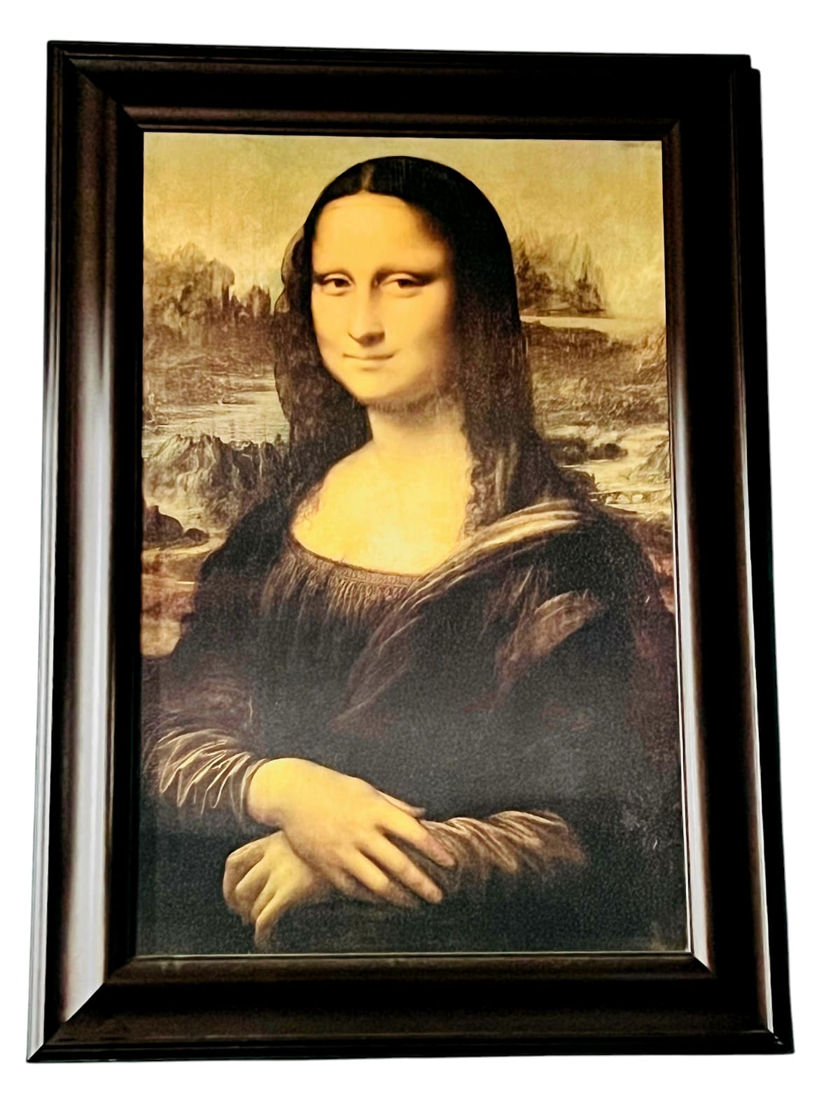 🌺🖼️Representación de la Mona Lisa – Arte Clásico en Formato Contemporáneo🖌️