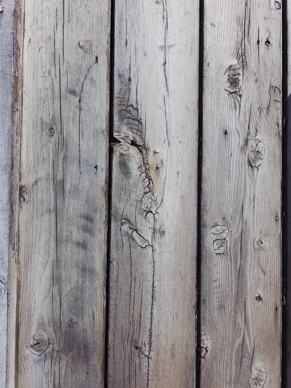 Rustic Aged Cedar Door – A Threshold of Strength and Tradition