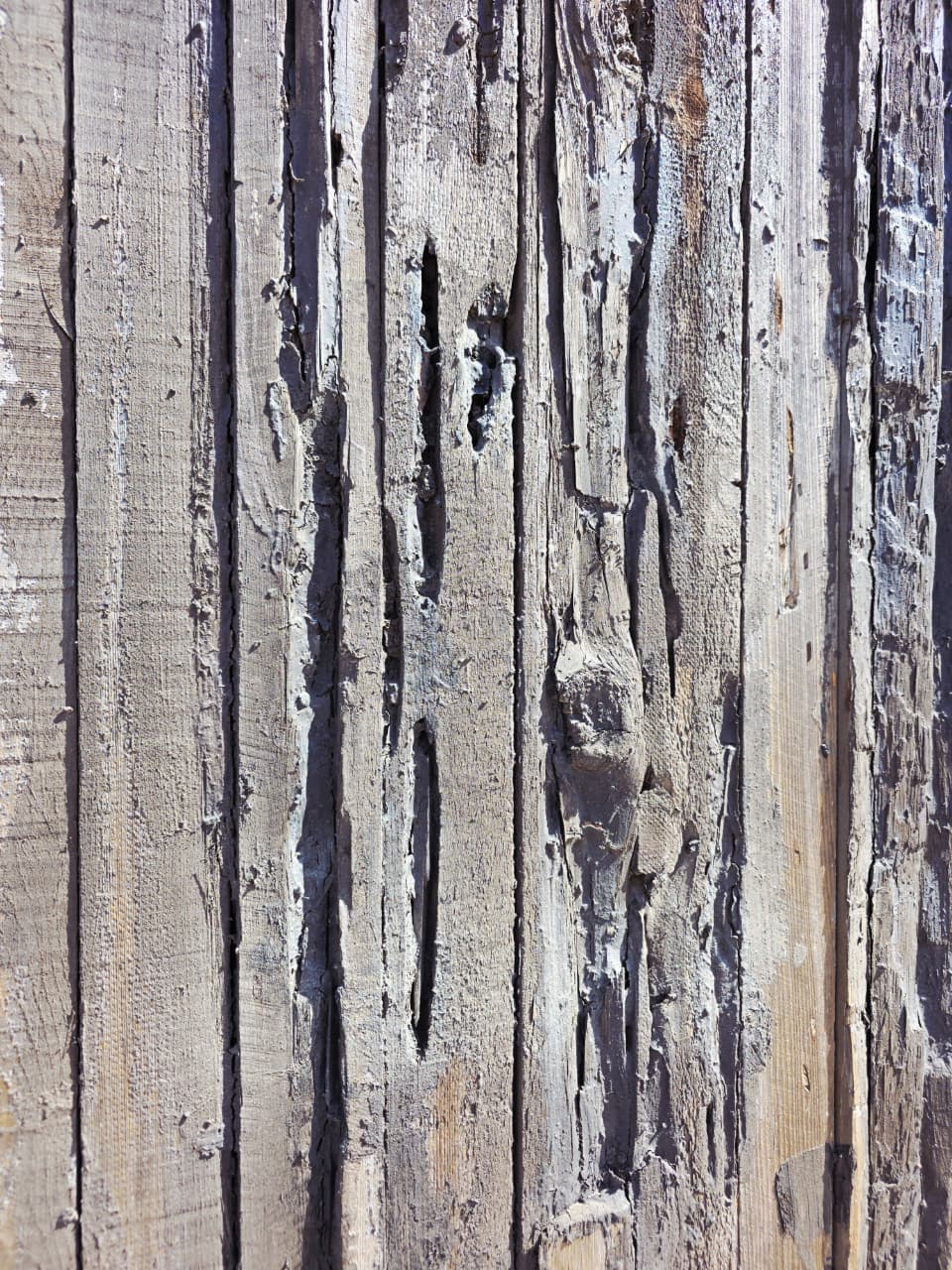 Puerta Rustica de Cedro Envejecido – Umbral de Historia y Permanencia